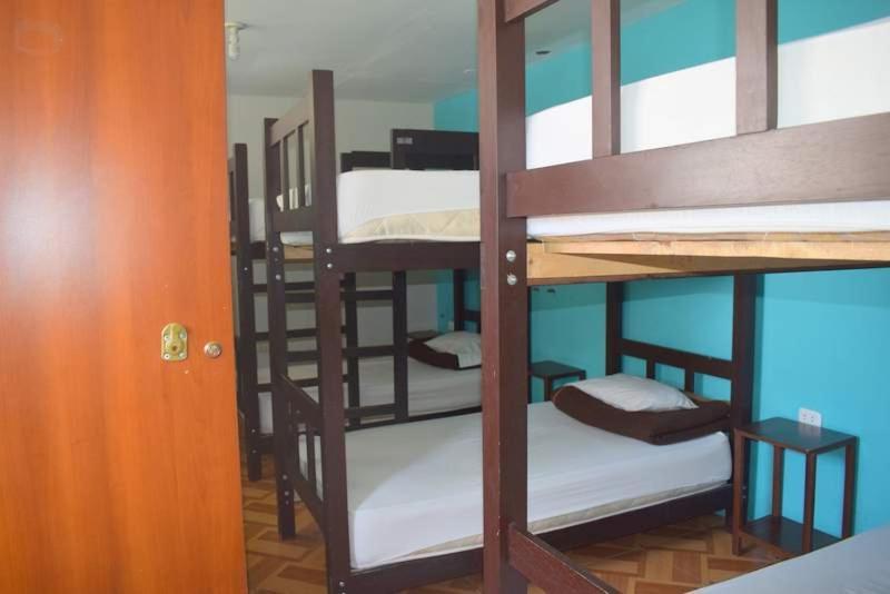 Mango Hostel B&B อาเรกิปา ภายนอก รูปภาพ