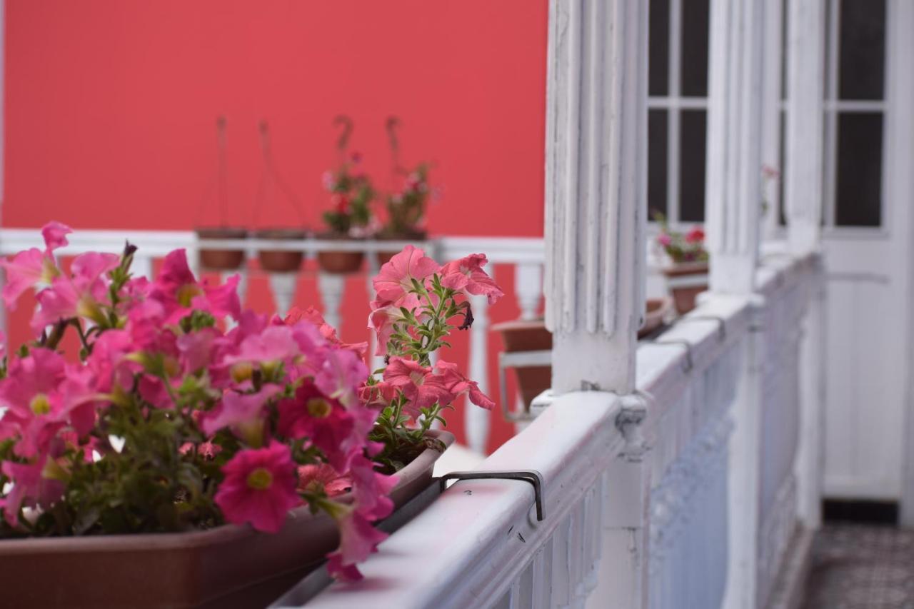 Mango Hostel B&B อาเรกิปา ภายนอก รูปภาพ